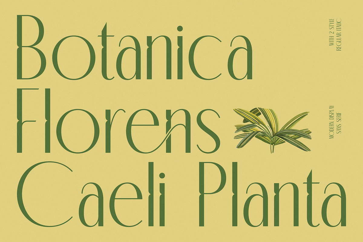 Classic Makore Modern Serif Font, a Serif Font by timelesstype.co (Photo 7 of 20)