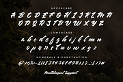 Chesnut Modern Script Font, a Script Font by edukka (Thumbnail 2 of 10)