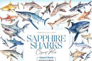 Watercolor Shark Clipart, Shark PNG, an Animal Illustration by BrushstrokeArtGB
