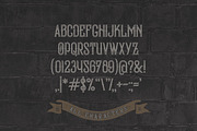 Bald Eagle Typeface, a Symbol Font by Gleb Guralnyk (Thumbnail 3 of 6)