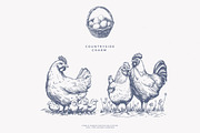 vintage clipart farm animals set, a Decorative Illustration by Patishop Art (Thumbnail 7 of 10)