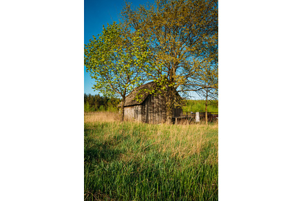 Russian Antique Wooden Village House, a Nature Photo by Our Amazing World