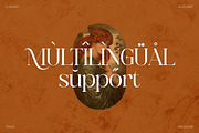 Meladu Rose Stylish Font, a Serif Font by Storytype Studio (Thumbnail 10 of 30)
