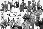 Bestsellers Heritage Collage Creator, an Object Graphic by SNIPESCIENTIST (Thumbnail 47 of 64)