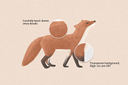 Arctic Animal, Botanical & Landscape, an Animal Illustration by imajineko (Thumbnail 5 of 11)