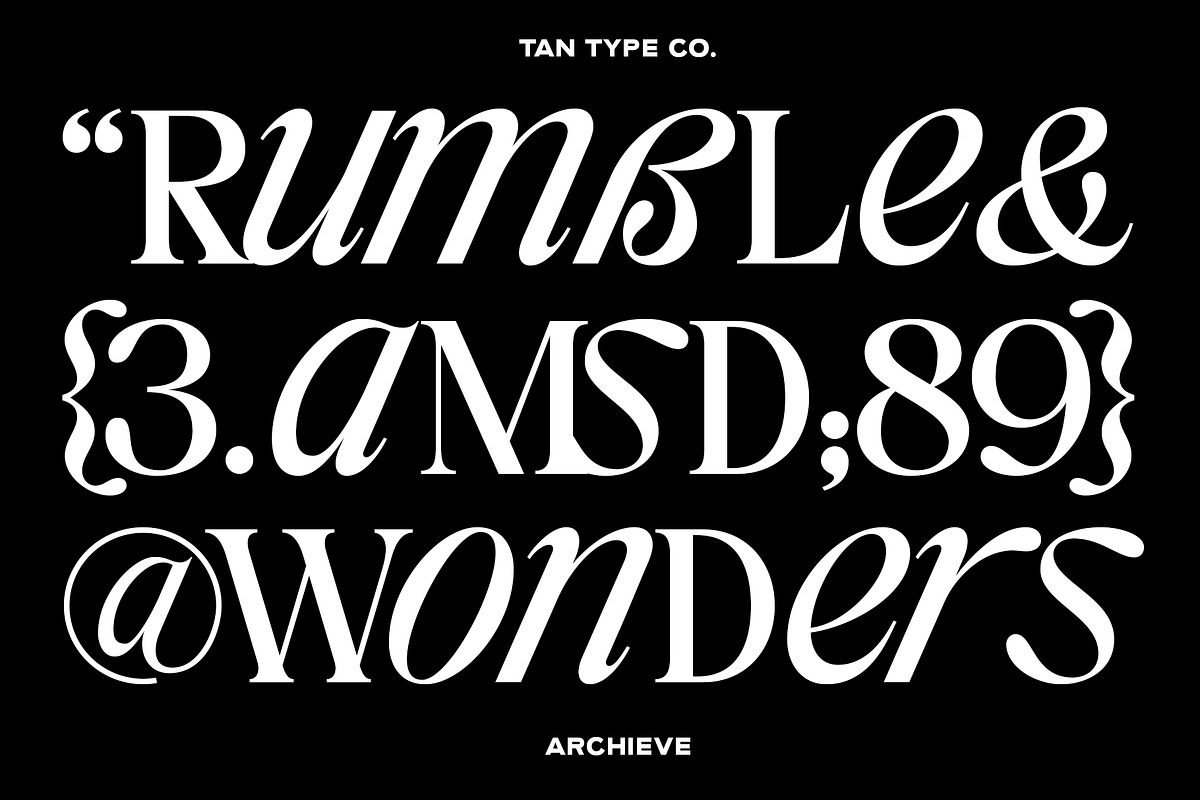 TAN - ARCHIEVE, a Serif Font by TanType (Photo 7 of 11)