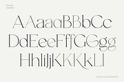 MYROGE elegant & stylish serif, a Serif Font by CarmineType (Thumbnail 11 of 18)