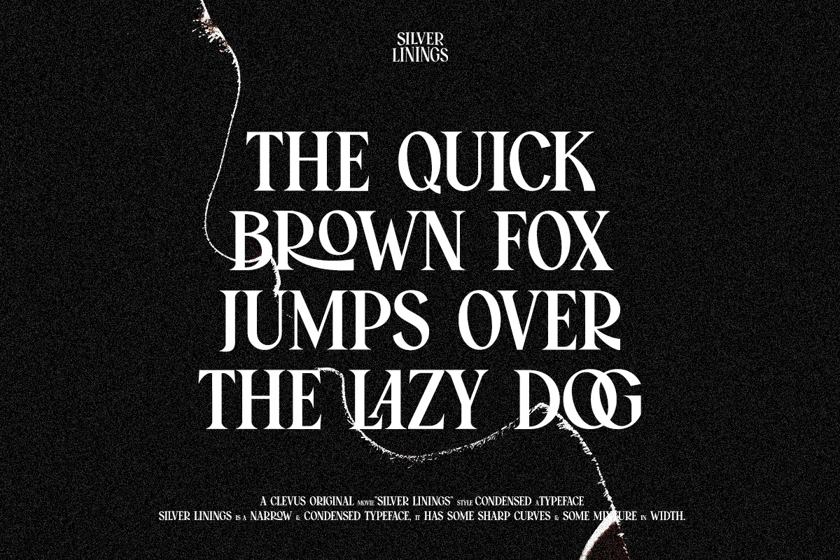 Silver Linings | Vintage Condensed, a Serif Font by ClevUs (Photo 10 of 12)