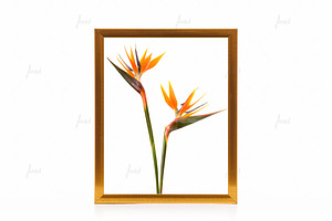 Golden styled frame isolated mockup