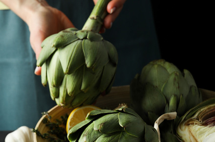 Concept of healthy food with artichoke plant, a Food & Drink Photo by AtlasStudio PRO