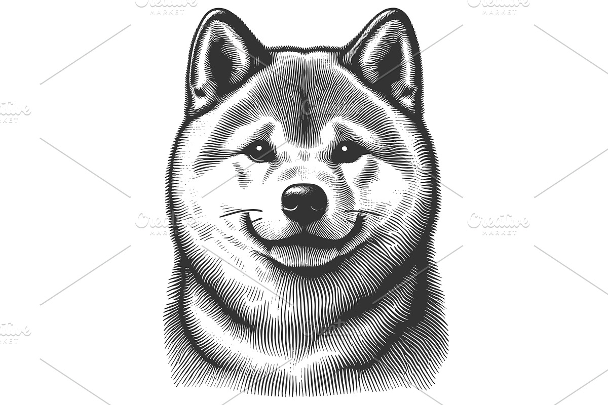Happy Shiba Inu Dog engraving vector, an Animal Illustration by AlexArt