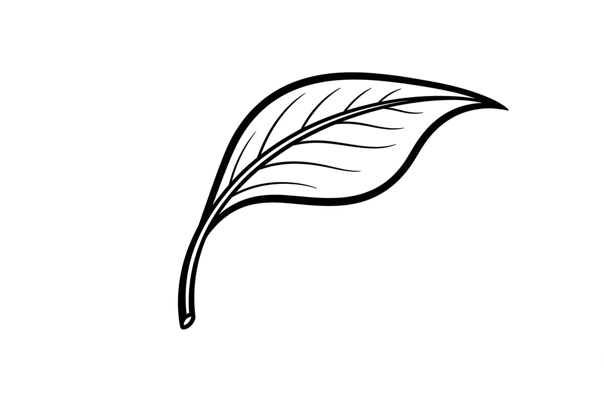 Hand Drawn Leaf Line Art Bundle, an Illustration by hafijul (Photo 40 of 51)