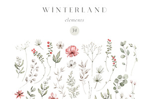 Watercolor Winter. Christmas Florals