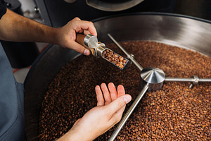 Barista checking the quality, a Food & Drink Photo by Artem Varnitsin