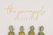Lovely Script Bundle, a Script Font by Digital Hustler (Thumbnail 33 of 33)