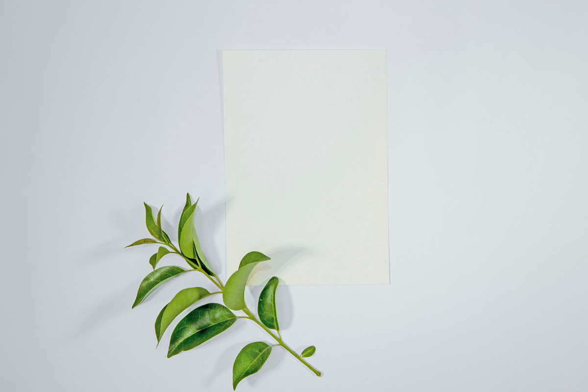 A5 Paper Mockups With Green Leaves, a Print Template by shahsoft (Photo 3 of 3)