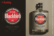 Blackbird - Blackletter font family, a Blackletter Font by Artistic & Unique (Thumbnail 12 of 16)