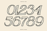 Nerilla Pixel, a Serif Font by Craft Supply Co. (Thumbnail 7 of 8)