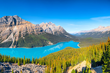 Lake Peyto, Canada, a Nature Photo by Landscape and travel