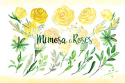 -50% Mimosa & roses flowers, an Illustration by LABFcreations (Thumbnail 7 of 8)