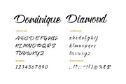 Dominique Diamond Calligraphy Font, a Handwritten Font by UICreative (Thumbnail 5 of 5)