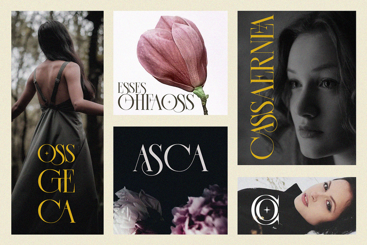 CASSEROS MASSCOTTES Elegant Serif, a Serif Font by Alfinart (Photo 6 of 11)