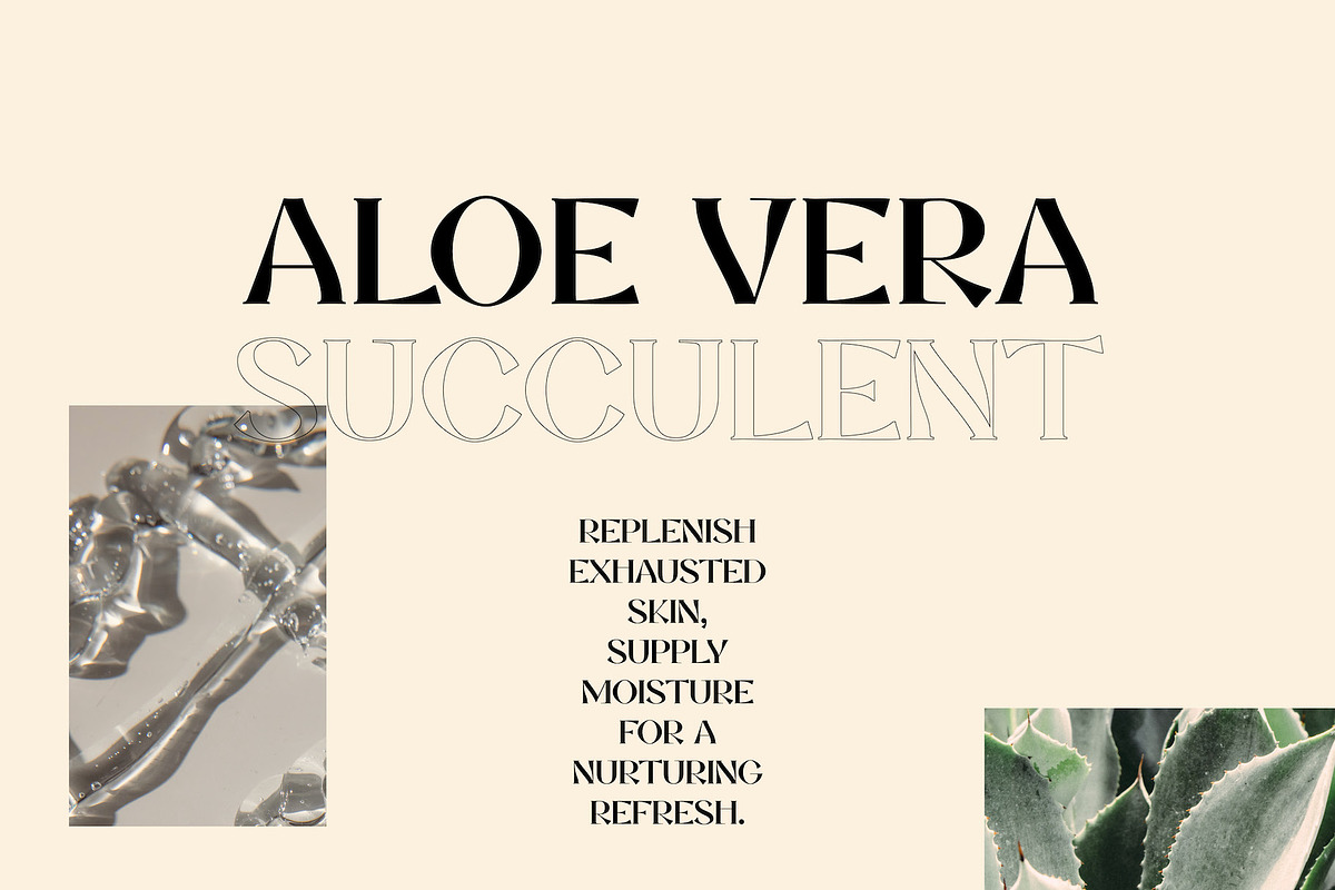 Mia Culver – Cool Display Serif, a Serif Font by Local Desk Designstudio (Photo 11 of 24)