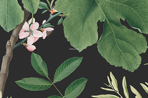 Botanical Floral And Fruits Pattern