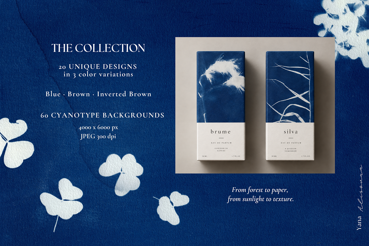 CYANOTYPE Botanical Backgrounds, a Background Graphic by Alisovna (Photo 15 of 15)
