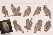 Owls graphic collection, a Decorative Illustration by Piñata (Thumbnail 2 of 17)