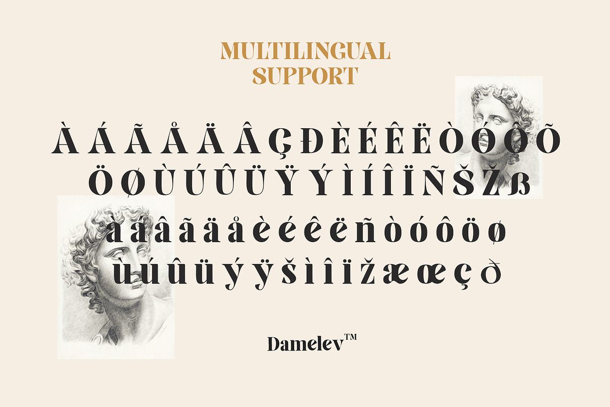 Elika Gorica, a Serif Font by Damelev (Photo 11 of 11)