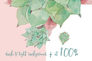 Succulents-single species package, a Work Illustration by watercolorwild.graphics (Thumbnail 6 of 8)