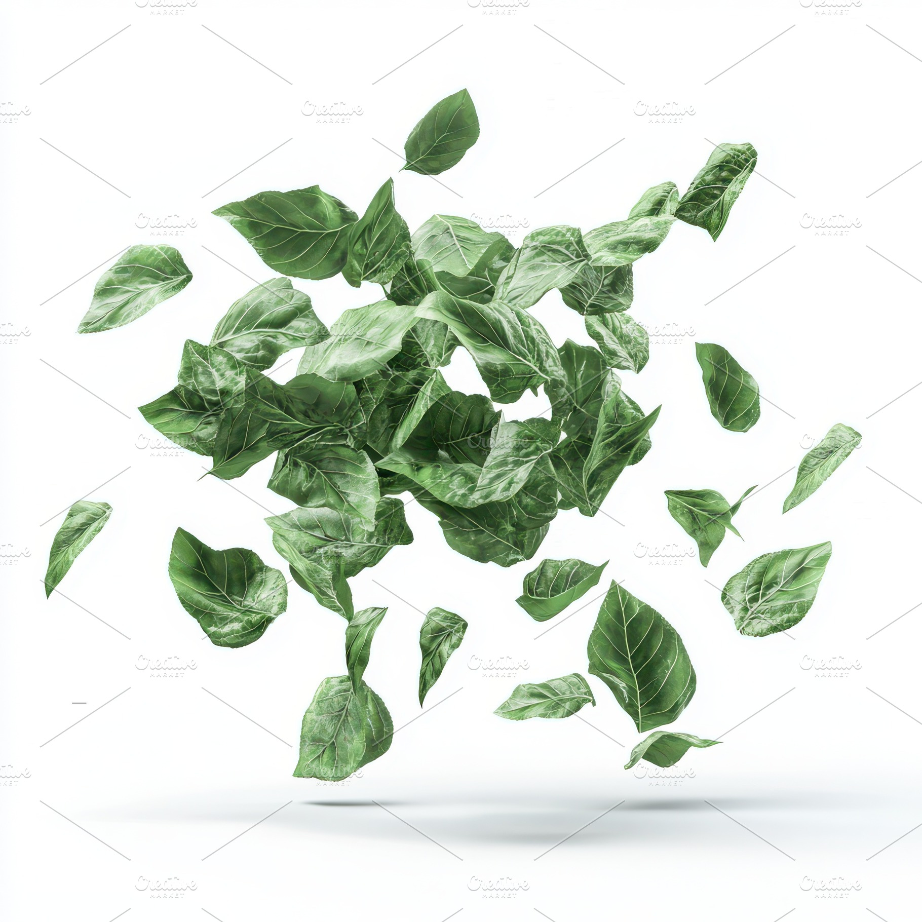 Green leaves falling isolated white, a Food & Drink Photo by Pixeness Studio