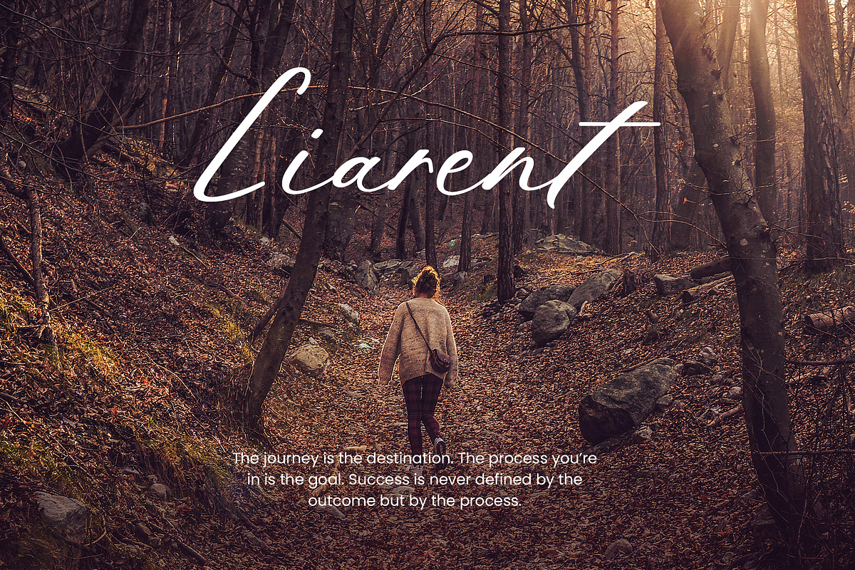 Charlotte Ornamental Calligraphy, a Handwritten Font by UICreative (Photo 3 of 12)