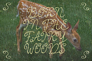 Almost Magic Whimsical Script Font, a Script Font by AnMark (Thumbnail 3 of 11)