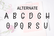 Filing Lovely | Script Font, a Script Font by Scratchones (Thumbnail 8 of 9)