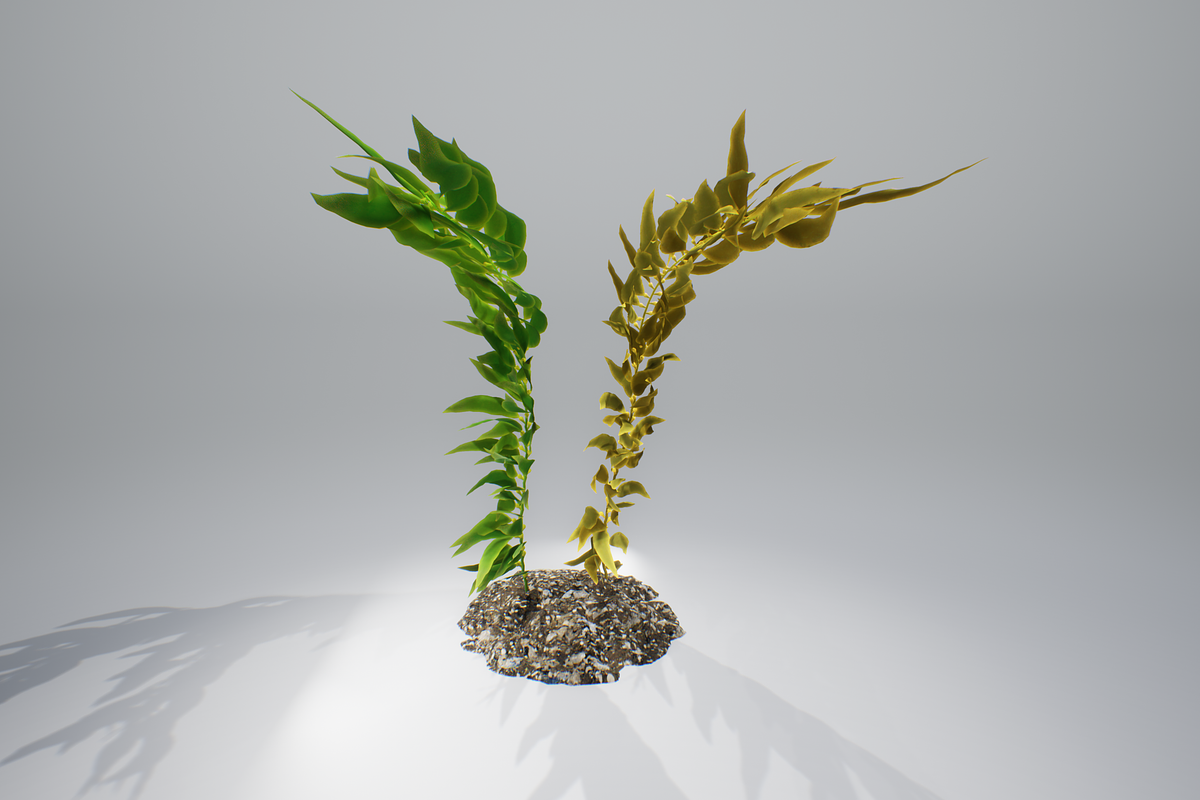 Kelp V2, an Environmental 3D Model by AndrewWhite (Photo 8 of 12)