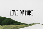 Bidara Font, a Serif Font by YandiDesigns (Thumbnail 4 of 4)