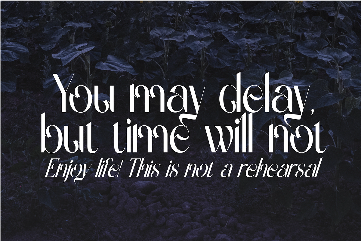 Gradually Reduced Font, a Serif Font by 177Studio (Photo 3 of 7)