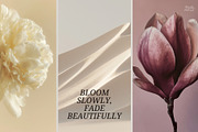 Soft Pastel Stock Photos Bundle 280, a Nature Photo by Tale.Haus (Thumbnail 18 of 19)