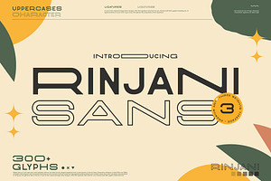 Rinjani Sans - Wide Stretch Typeface, a Sans Serif Font by CCS Type