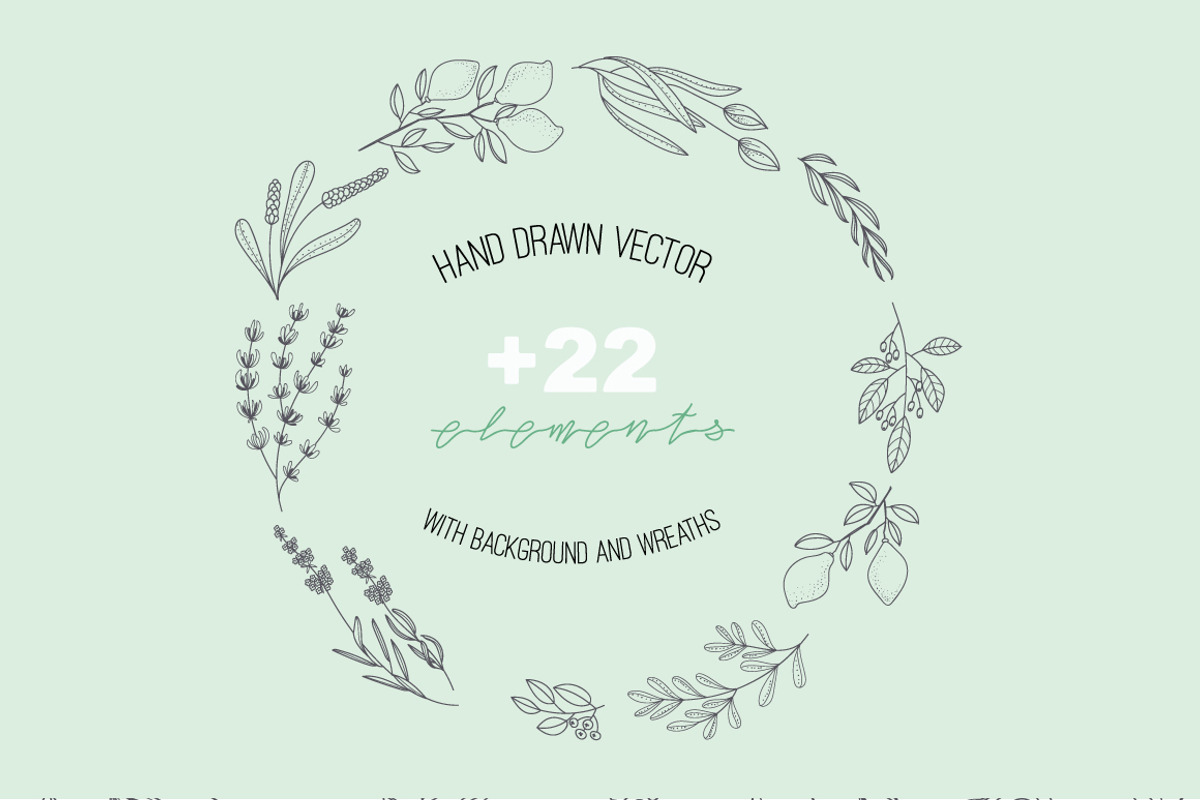 HAND DRAWN NATURAL HERB&LEAF VECTOR