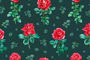 Red roses illustrations and patterns, a Texture Illustration by Sundra (Thumbnail 3 of 11)