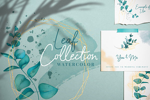 Leaf & Watercolor collection