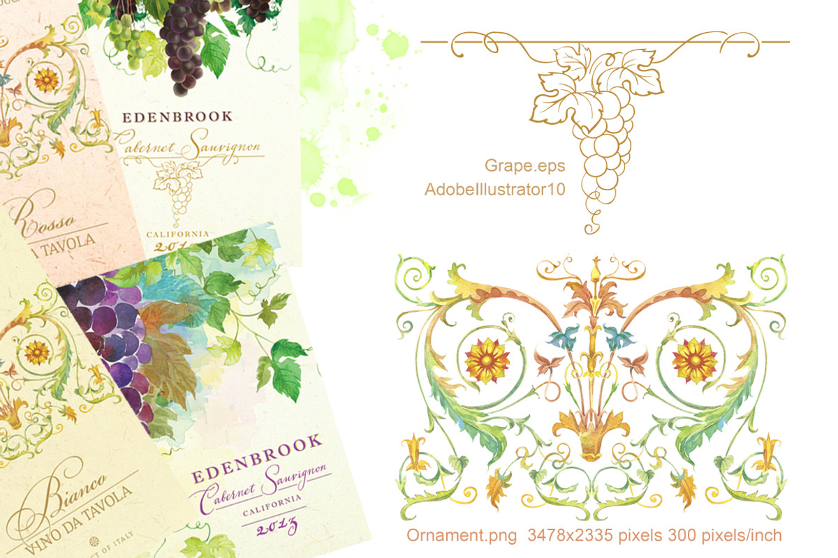 Watercolor Grapes & Ornament Set, an Illustration by Marina.Markizova (Photo 5 of 5)