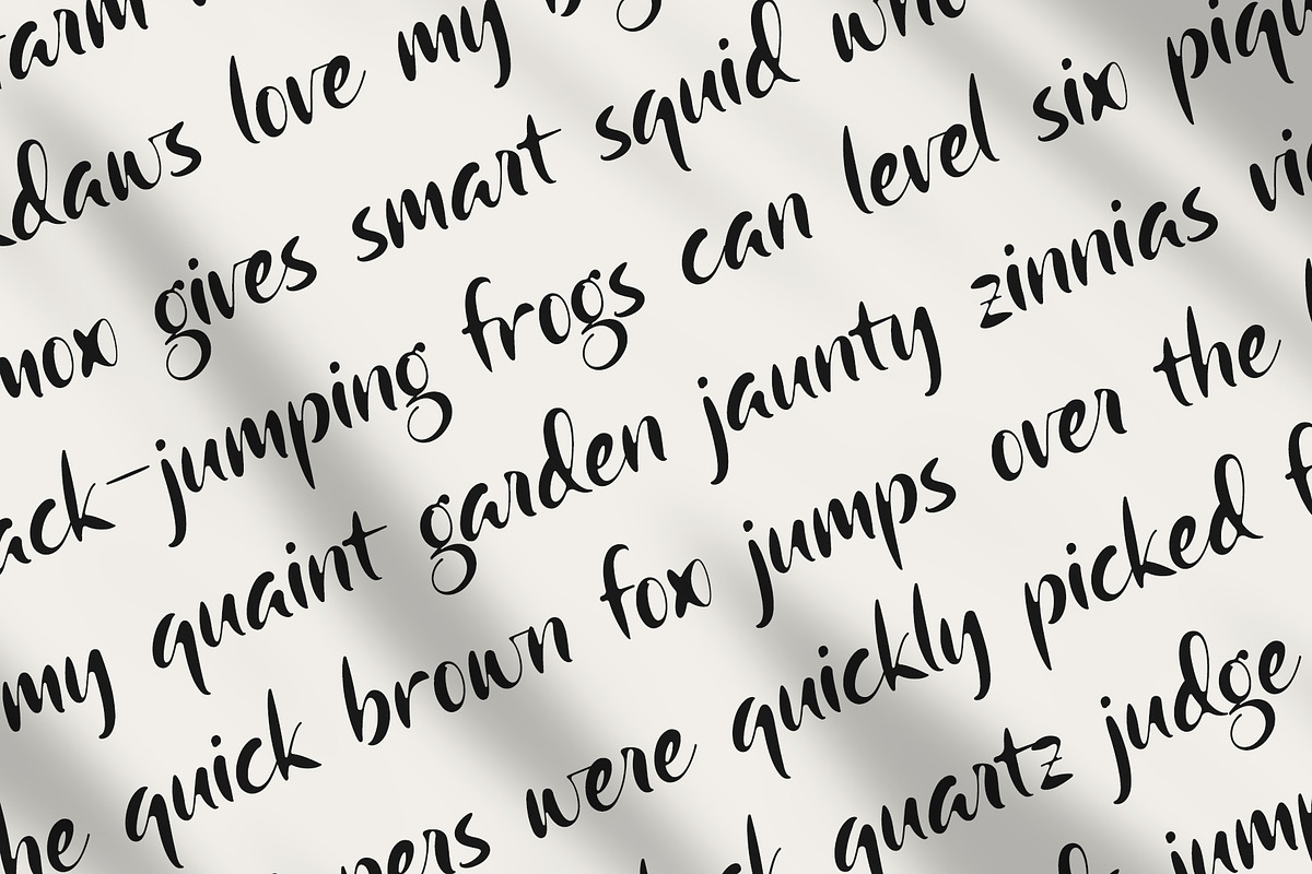 Camerota | Handwritten Font, a Handwritten Font by Lemonthe (Photo 4 of 7)