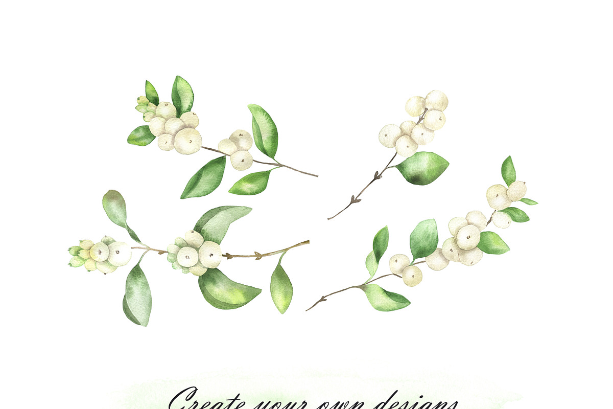 Watercolor snowberry clipart, an Illustration by OlDm_Shop (Photo 7 of 11)