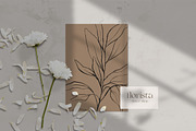 Botanical line art sketches, a Decorative Illustration by Madiwaso (Thumbnail 4 of 6)