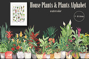 House Plants Alphabet and Clipart, a Decorative Illustration by Visual Animal (Thumbnail 1 of 6)
