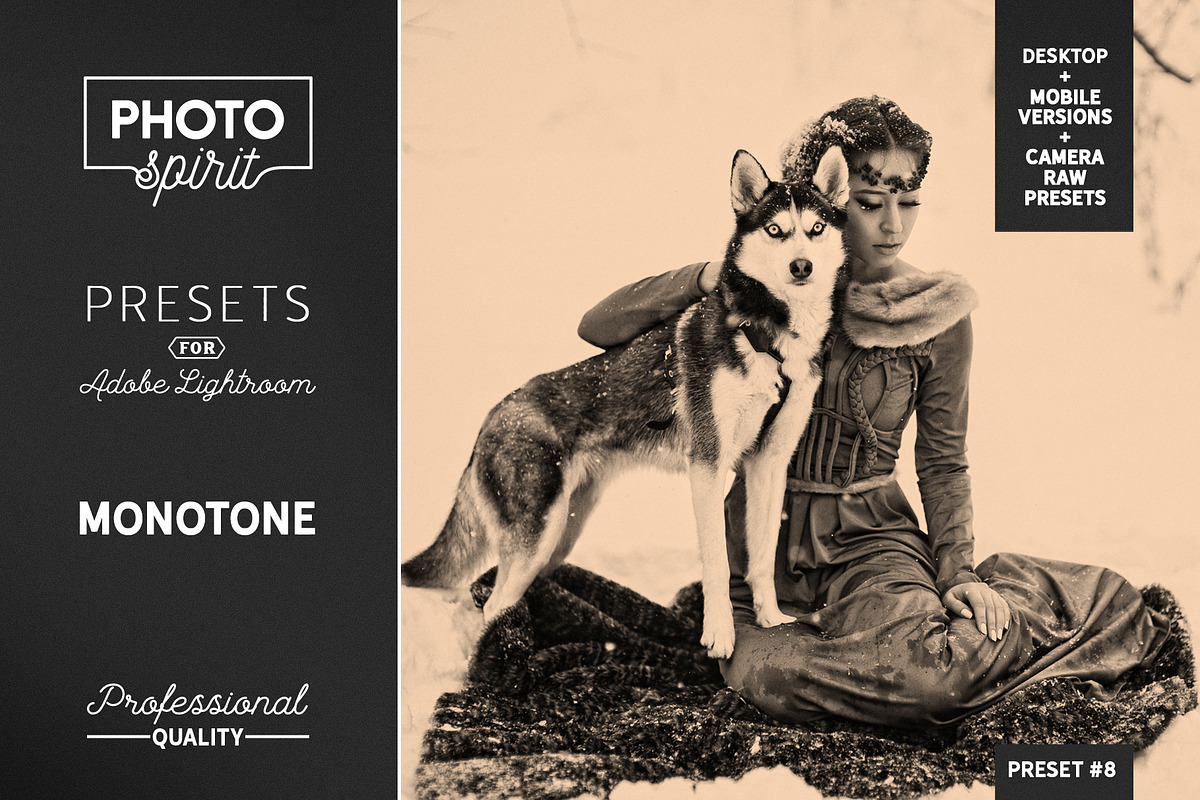 Monotone LR Presets Mobile + Desktop, a Plug-in Add-On by PhotoSpirit (Photo 1 of 10)